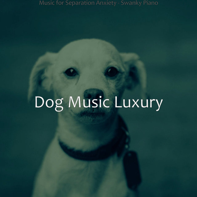 Music for Separation Anxiety - Swanky Piano