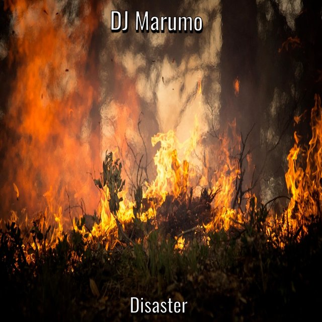 Disaster