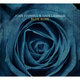 Cover art for album Blue Rose by John Stowell, David Liebman