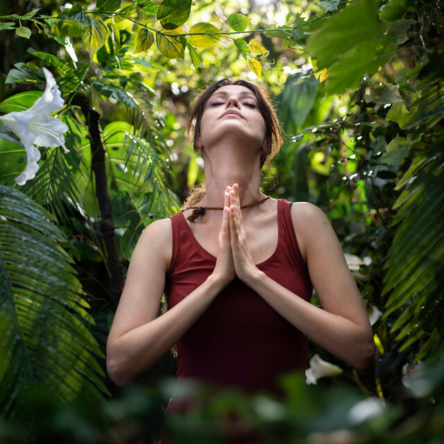 Rhythms of the Rainforest: Binaural Journey into Nature
