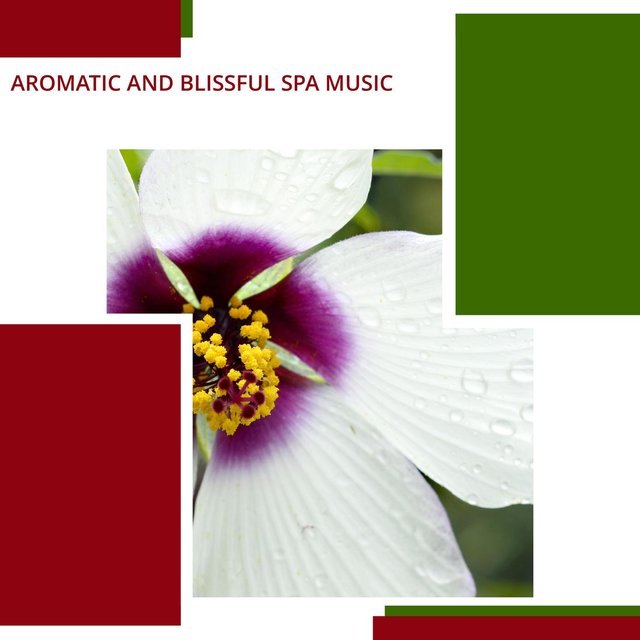 Aromatic And Blissful Spa Music