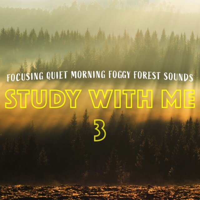 Study with Me: Focusing Quiet Morning Foggy Forest Sounds 3