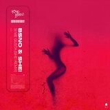 Si Me Gusta (Shei Remix) (Extended Mix)