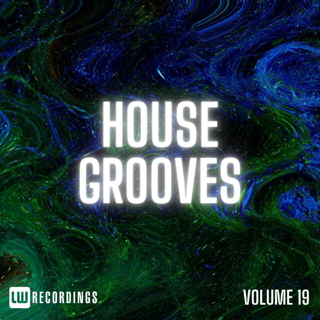 House Grooves, Vol. 19