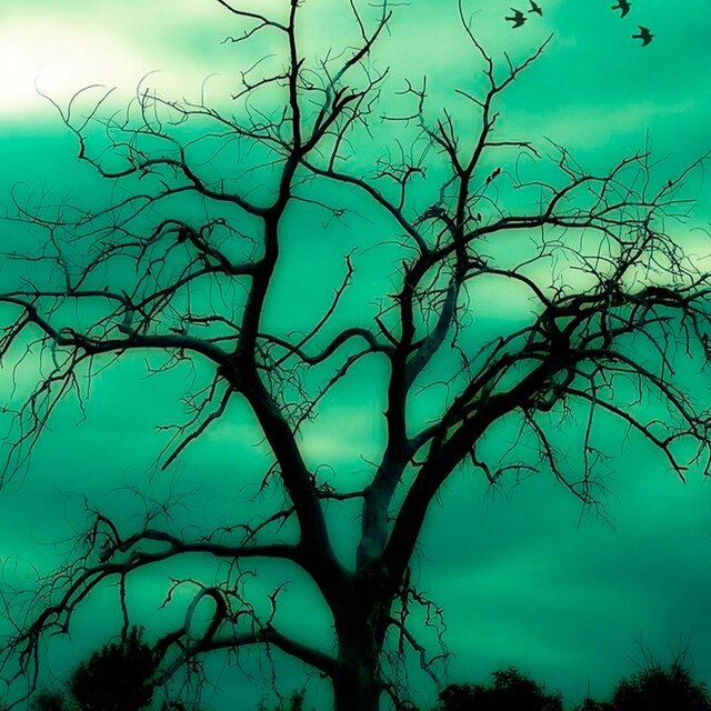 Sementera (Boom Bap Rap Beats)