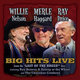 Cover art for album Willie, Merle & Ray: Big Hits Live From The Last Of The Breed Tour by Various Artists