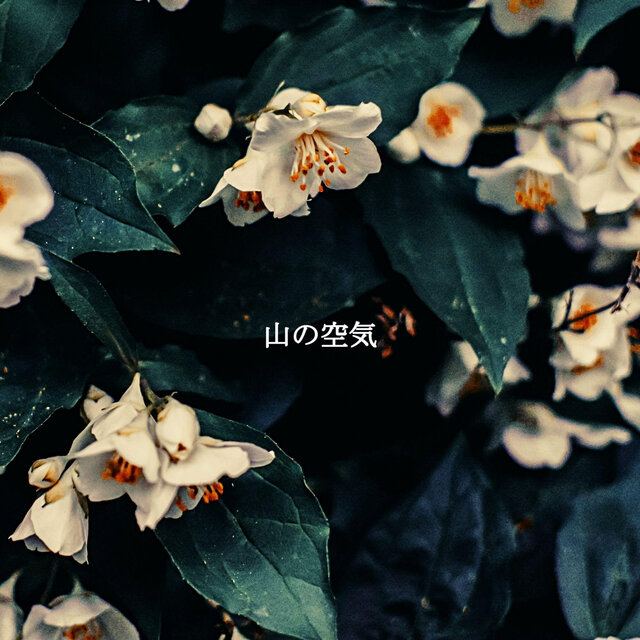 山の空気