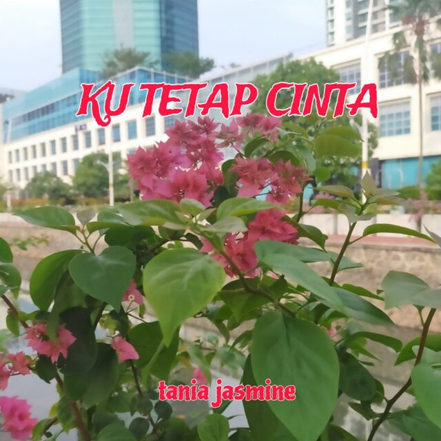 Ku Tetap Cinta