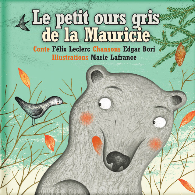 Le petit ours gris de la Mauricie