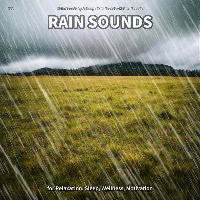 #01 Rain Sounds for Relaxation, Sleep, Wellness, Motivation