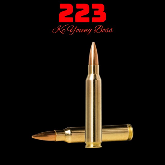 223
