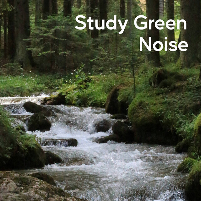 Study Green Noise