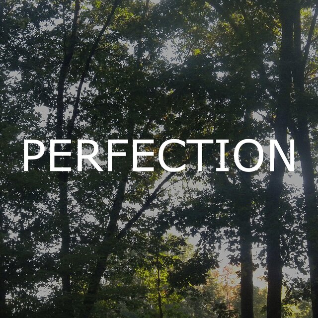 Perfection