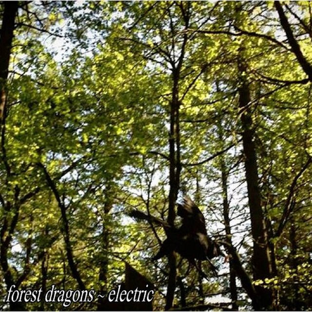 Forest Dragons: Electric