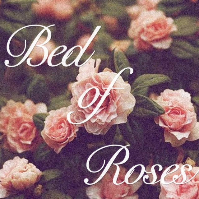 Bed of Roses