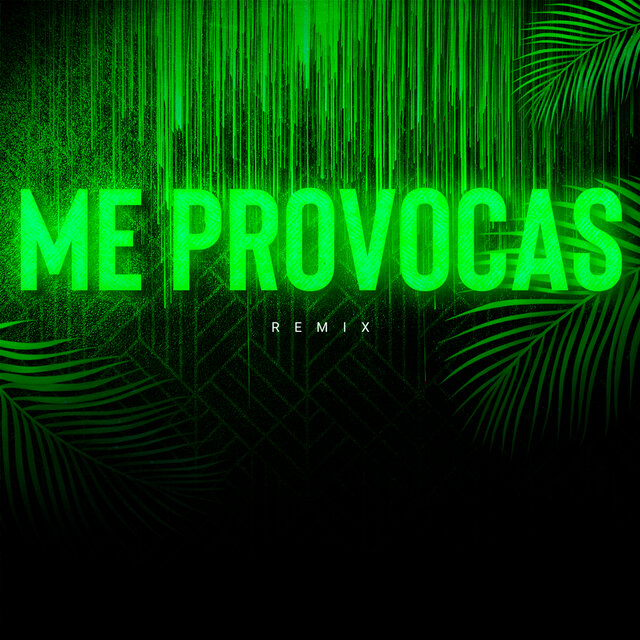 Me Provocas (Remix)