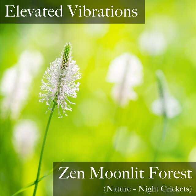 Zen Moonlit Forest (Nature – Night Crickets)