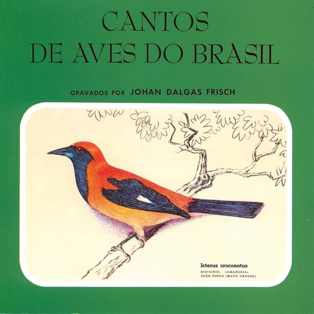 Cantos de Aves do Brasil