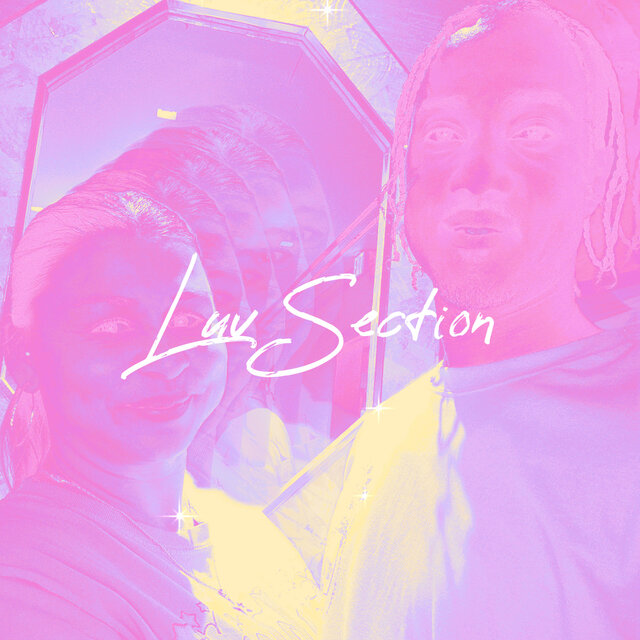 Luv Section