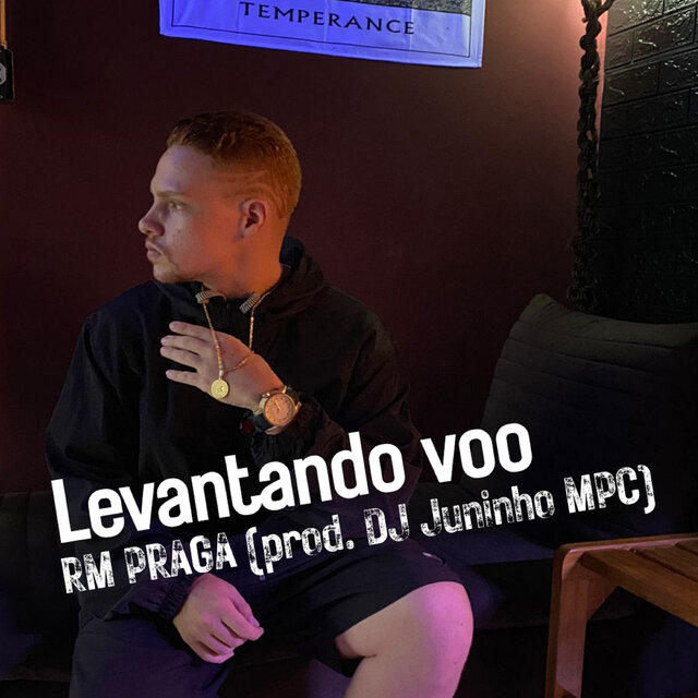 Levantando Voo