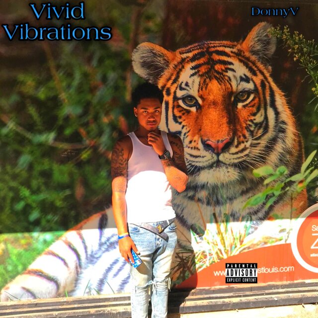 Vivid Vibrations