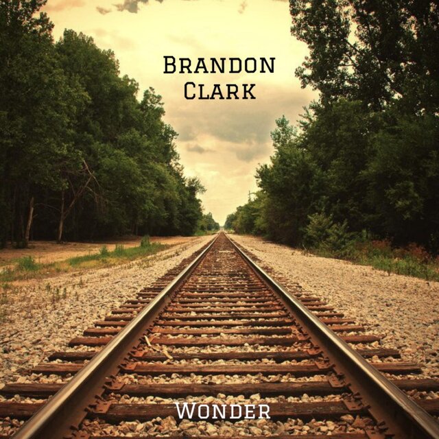Wonder