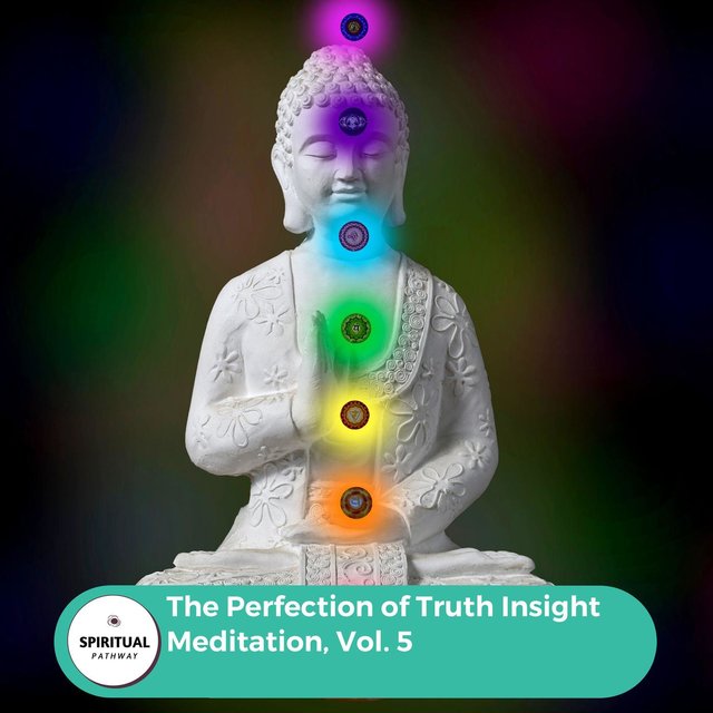 The Perfection Of Truth Insight Meditation, Vol. 5