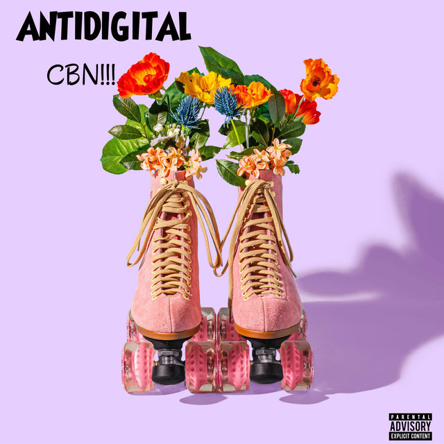 Antidigital