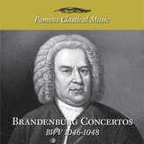 6 Brandenburg Concertos, No. 3 in G Major, BWV 1048: III. Allegro