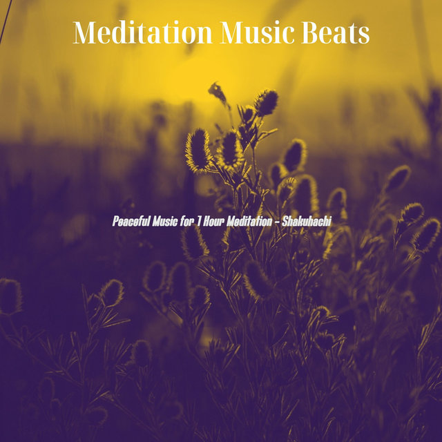 Peaceful Music for 1 Hour Meditation - Shakuhachi