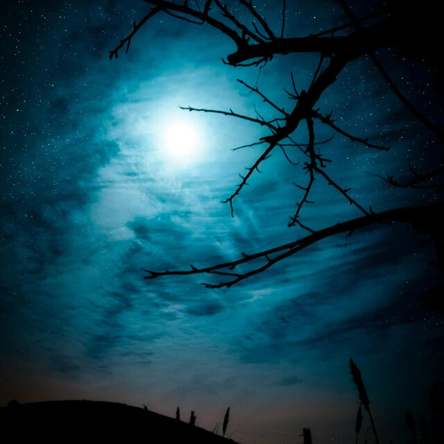 Sleepdust Night