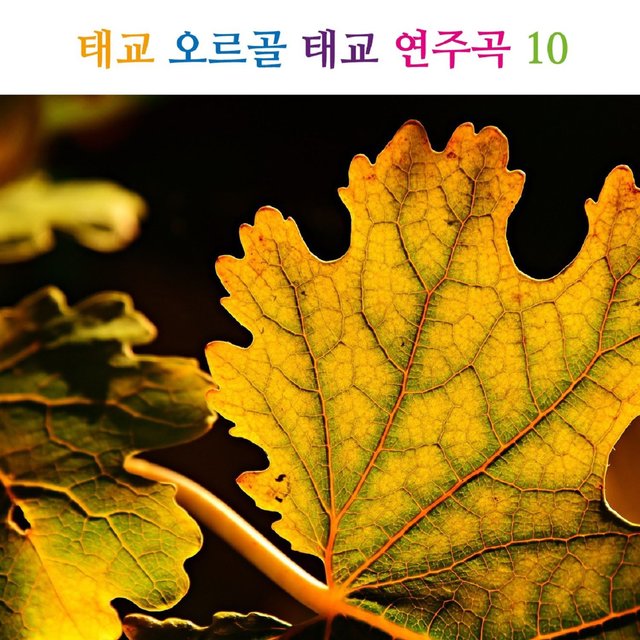 태교 오르골 태교 연주곡 10(동요,자장가)