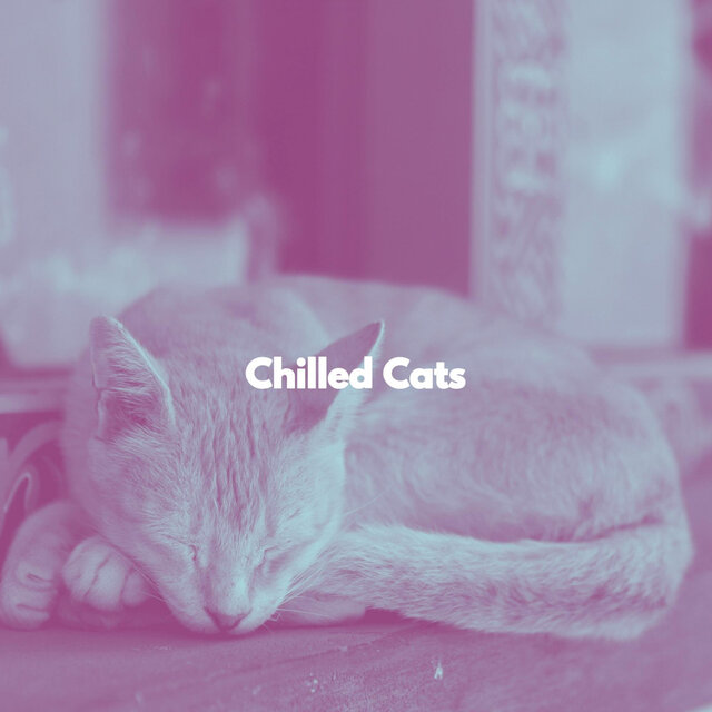 Chilled Cats