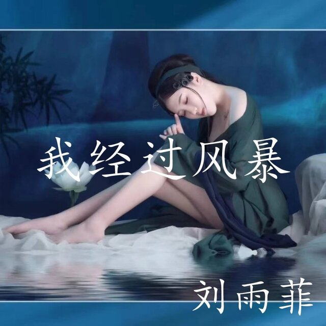 我经过风暴