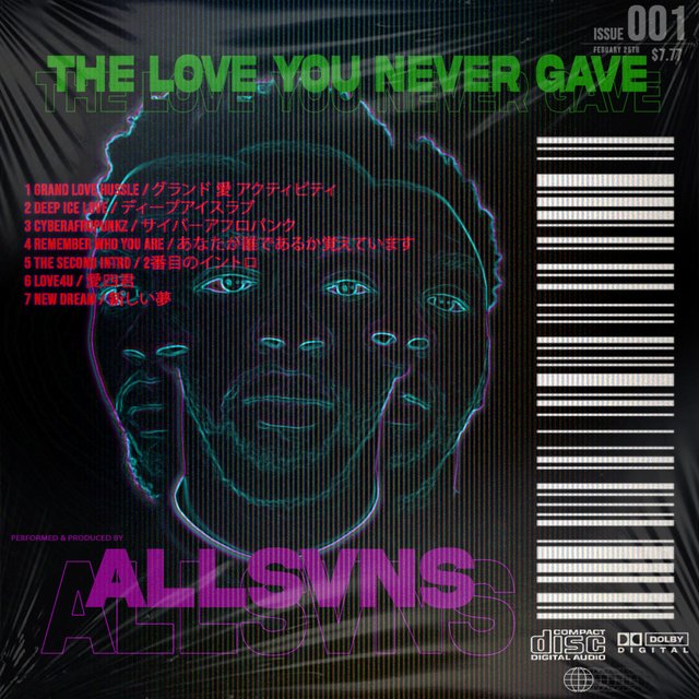 THE LOVE YOU NEVER GAVE