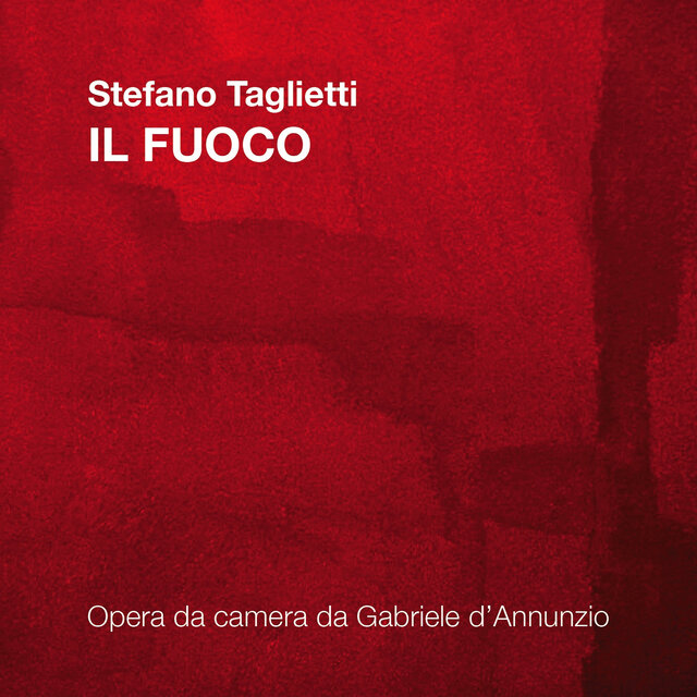 Stefano Taglietti: Il fuoco