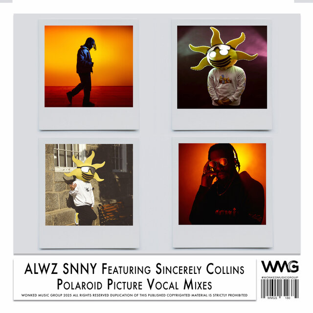 Polaroid Picture Vocal Mixes
