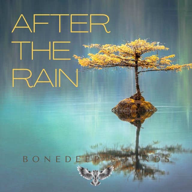 After the Rain