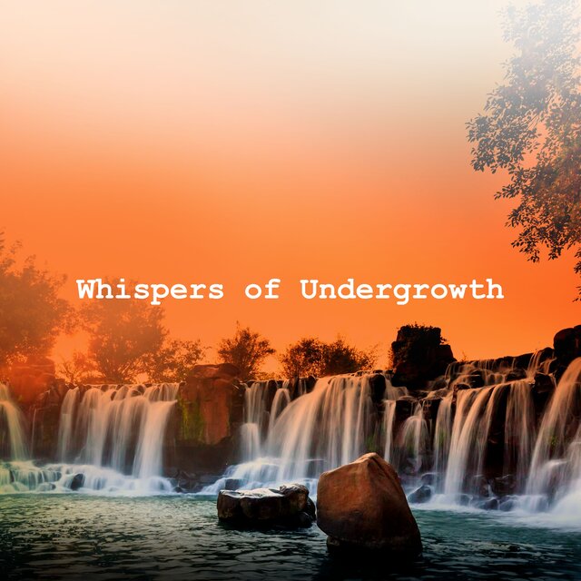 Whispers of Undergrowth