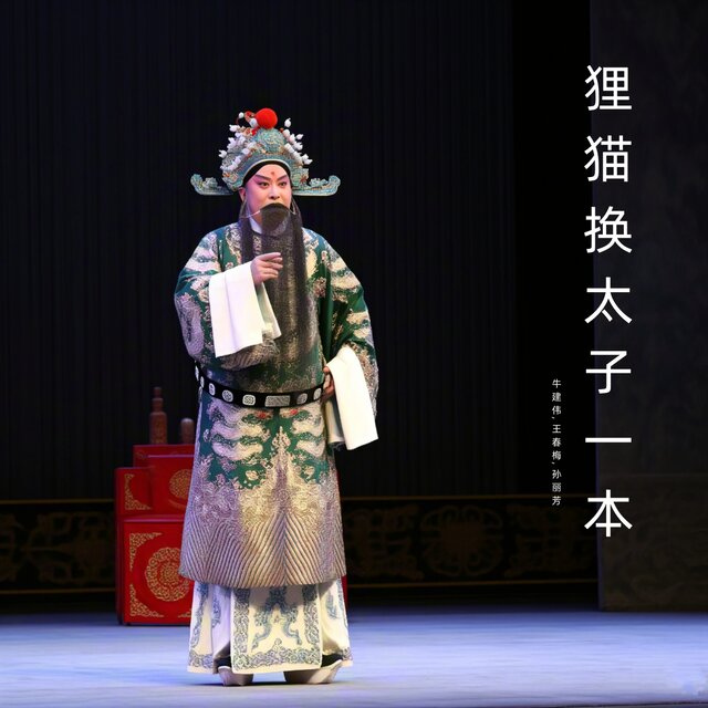 狸猫换太子一本下 (晋剧)