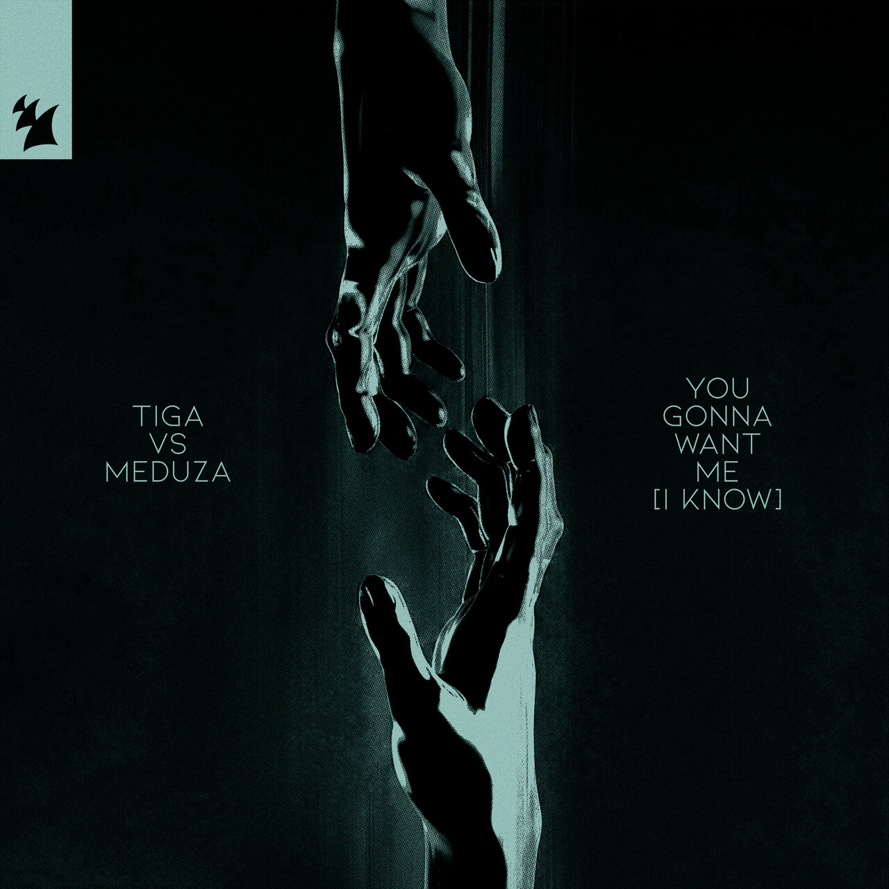 You Gonna Want Me (I Know) / Tiga - TIDAL