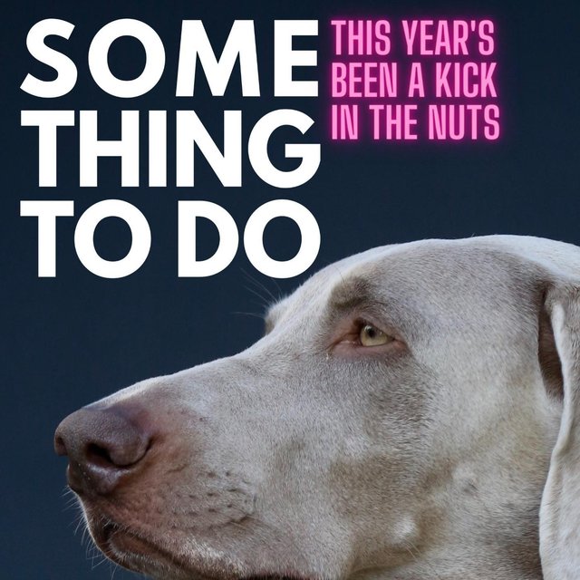 This Year's Been a Kick in the Nuts