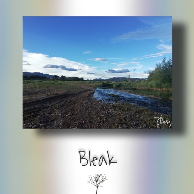 Bleak