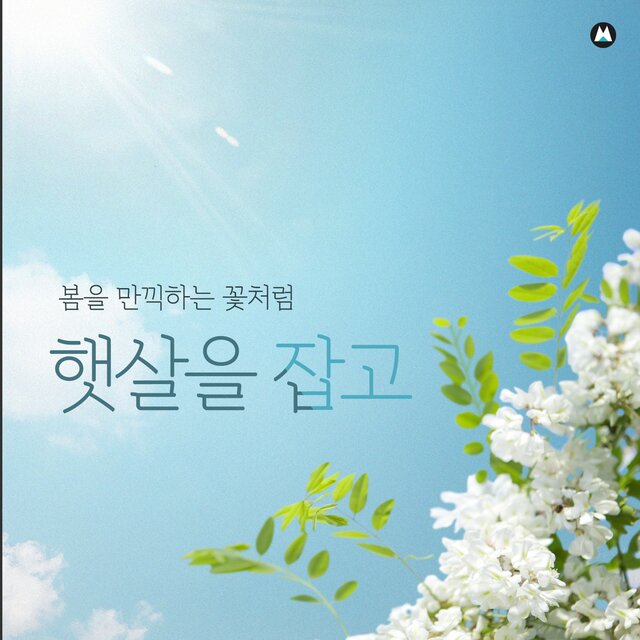 봄을 만끽하는 꽃처럼 [햇살을 잡고]