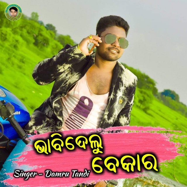 Bhabidelu Bekara