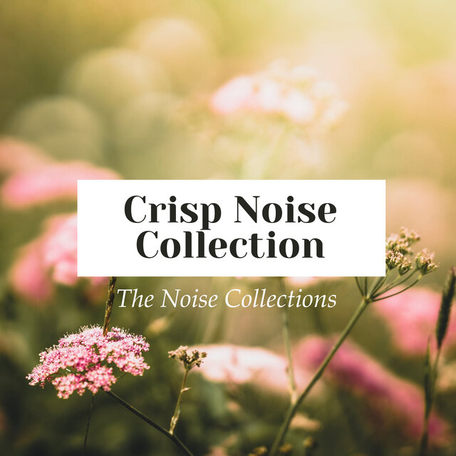 Crisp Noise Collection