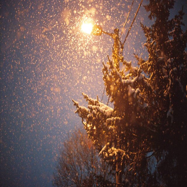 Light of the World