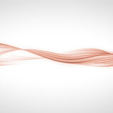 Lorica Pink