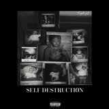 Self Destruction