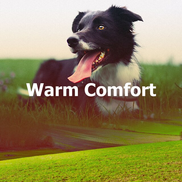 Warm Comfort